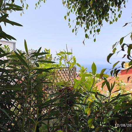 Casa Flora Garden Studio サウサル エクステリア 写真