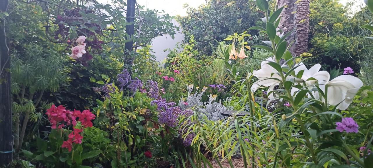 Casa Flora Garden Studio サウサル エクステリア 写真