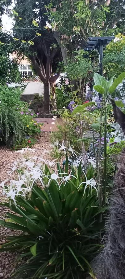 Casa Flora Garden Studio サウサル エクステリア 写真