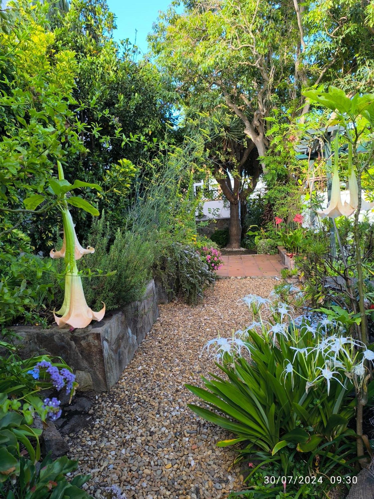 Casa Flora Garden Studio サウサル エクステリア 写真