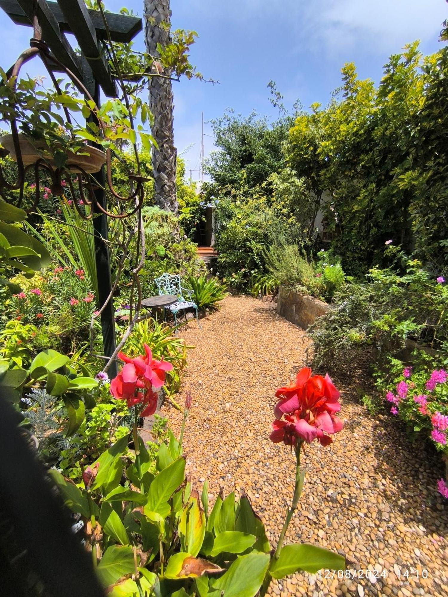 Casa Flora Garden Studio サウサル エクステリア 写真